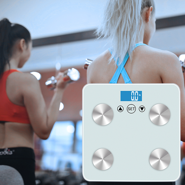 Body fat scale