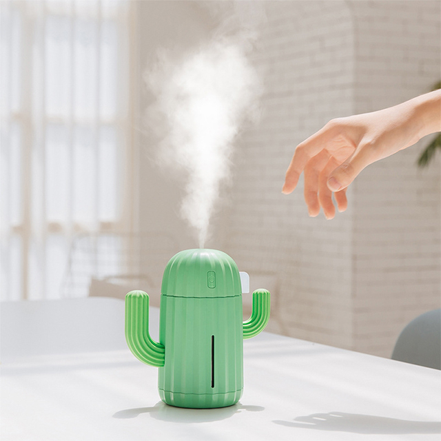Cactus humidifier