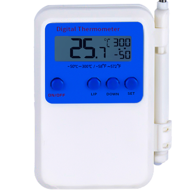Digital BBQ Thermometer
