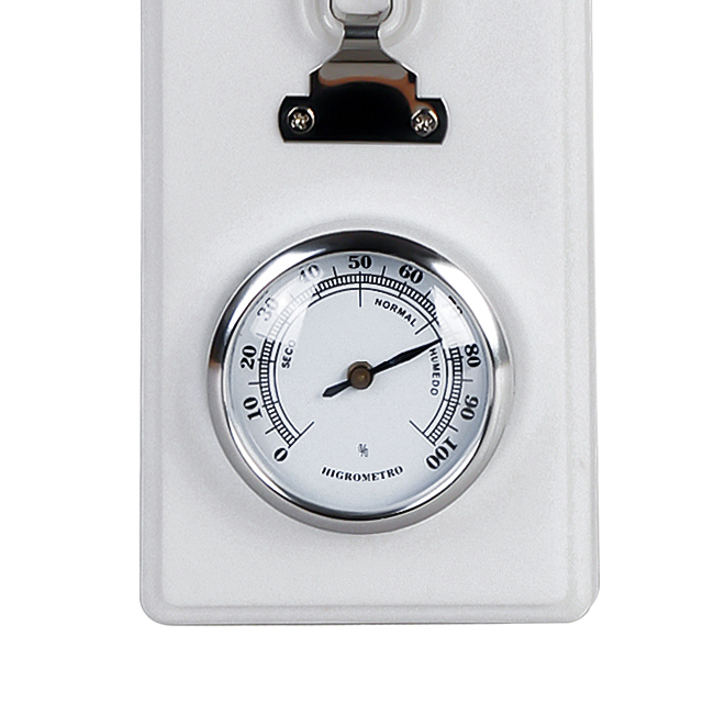 Indoor And Outdoor Plstic Thermometer