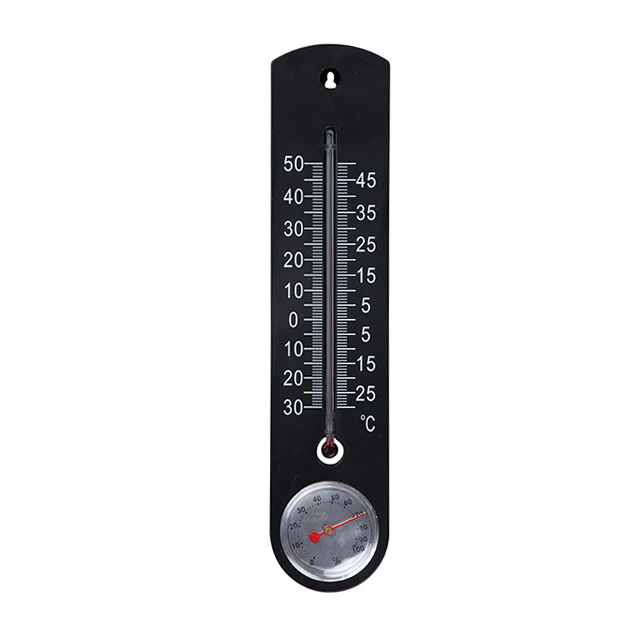 Plastic Thermometer