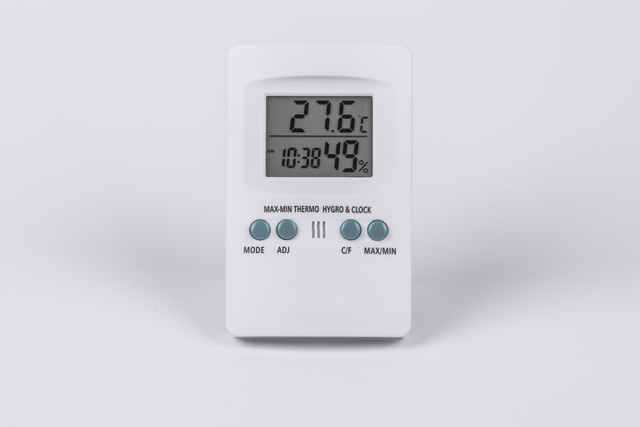 Digital Weather Thermometer
